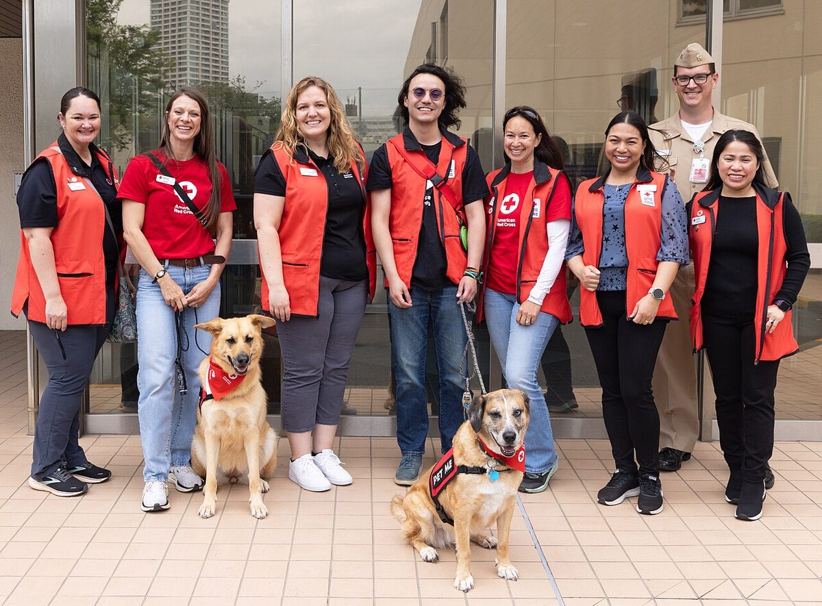 Therapy dogs from American Red Cross visiting Naval Hospital