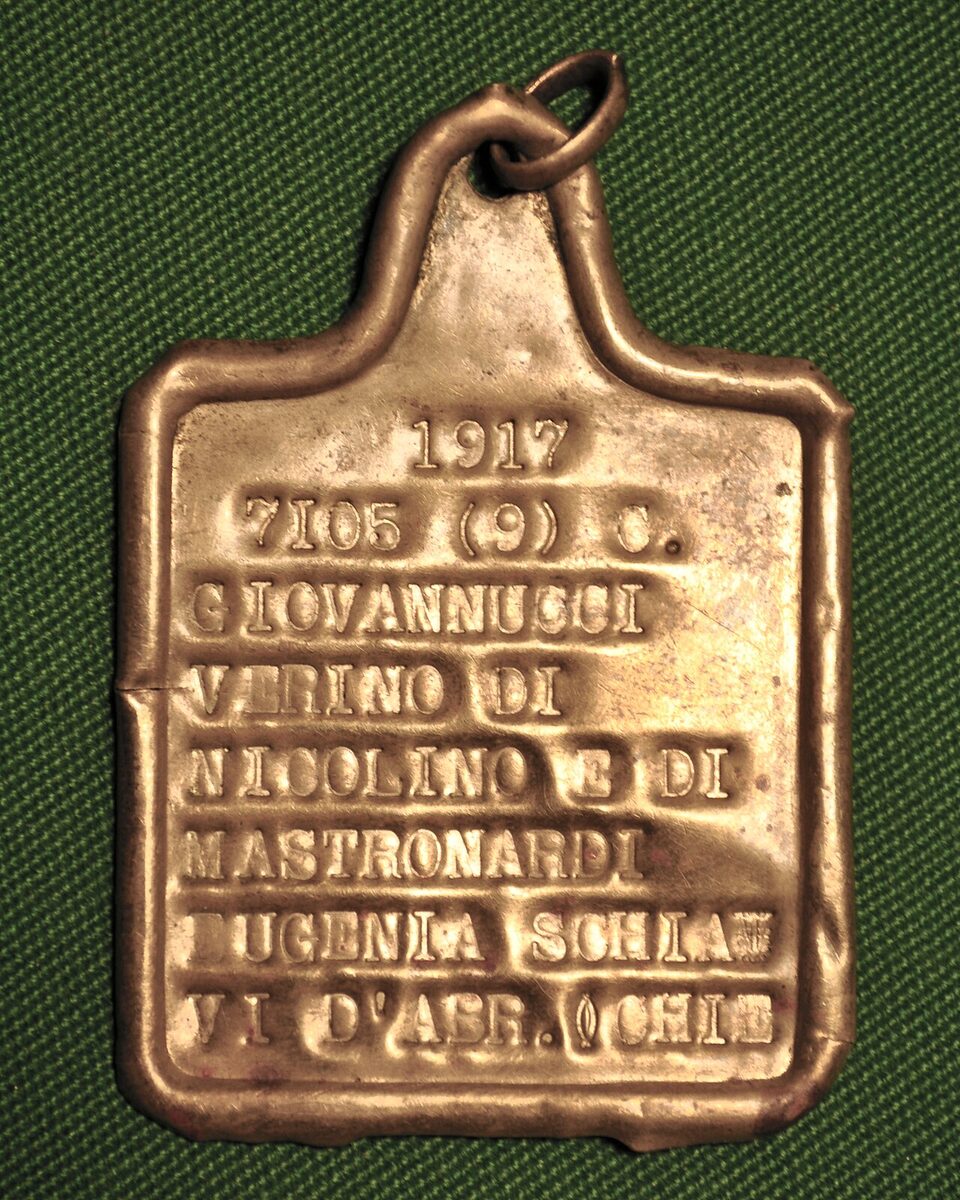 Ronnie McNutt: Age, Birthday, Height, Hometown & Key Facts